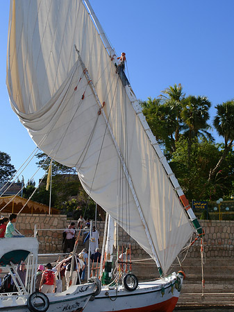 Felucca Foto 