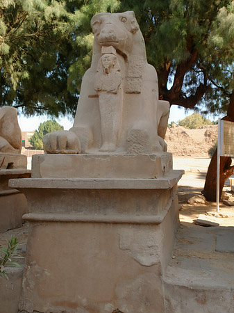 Fotos Widdersphingenallee