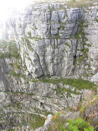 Fotos Kapstadt und Umgebung | 