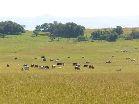 Landschaften Foto 