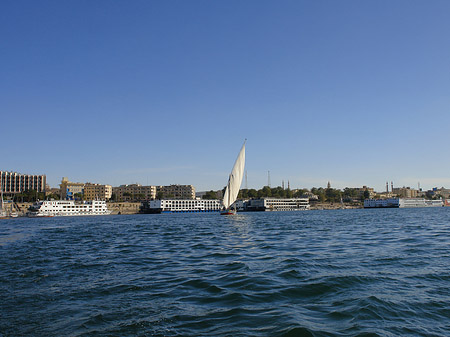 Felucca