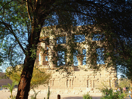 Foto Tempel zwischen Bäumen - 