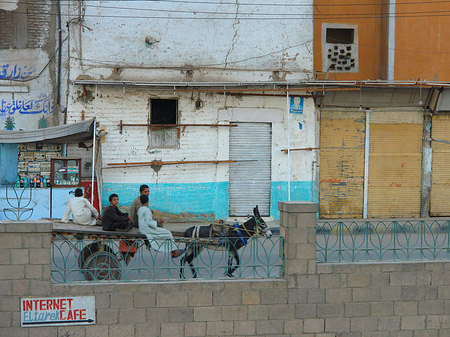 Foto Kinder mit Esel