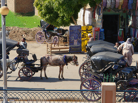 Foto Pferdekutschen - 