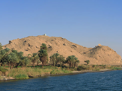 Foto Berg und Palmen