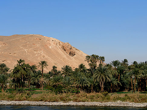 Fotos Berg und Palmen