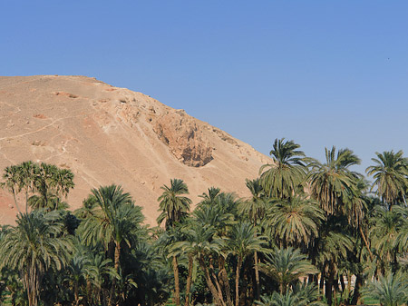 Fotos Berg und Palmen | 