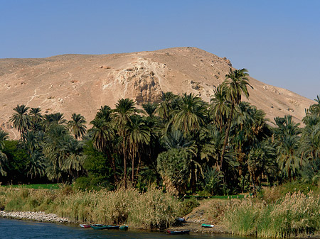 Fotos Berg und Palmen | 