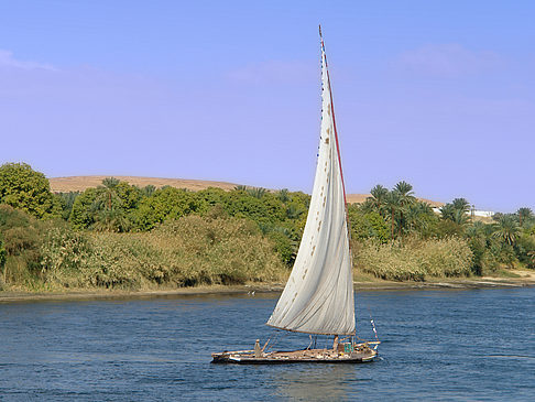 Foto Felucca