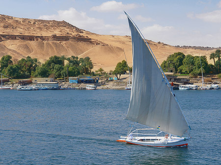 Felucca Foto 