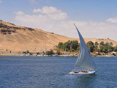 Foto Felucca