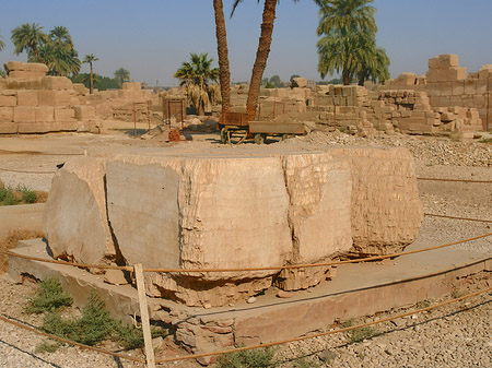 Ausstellungsstück Foto 