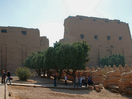 Karnak Tempel Fotos