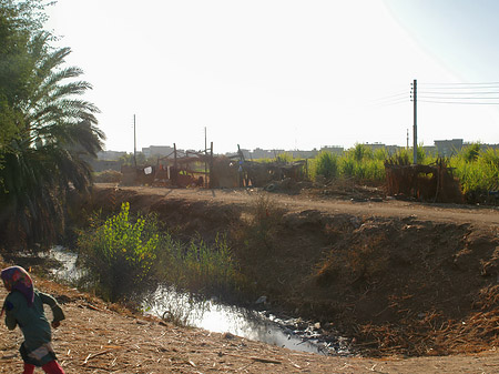 Fotos Ackerland | Luxor