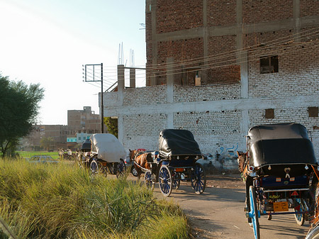 Foto Kutschen - Luxor