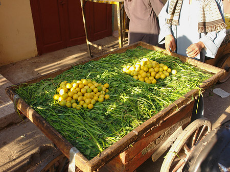 Fotos Markt