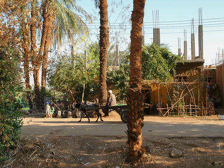 Foto Menschen - Luxor