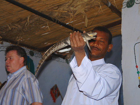 Foto Mann mit Krokodil