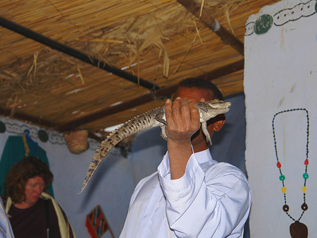Fotos Mann mit Krokodil