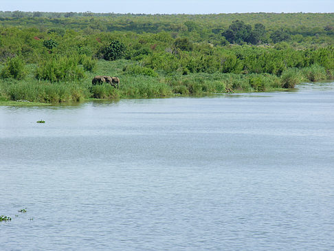 Elefanten am Wasser Fotos