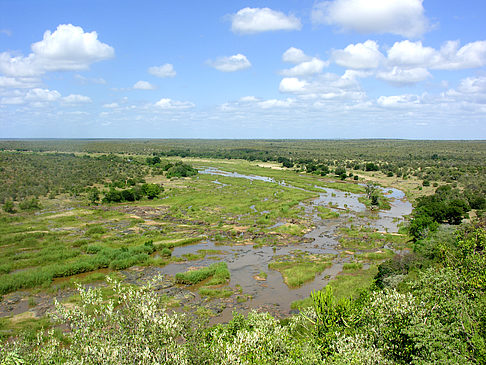 Foto Landschaften - Olifants