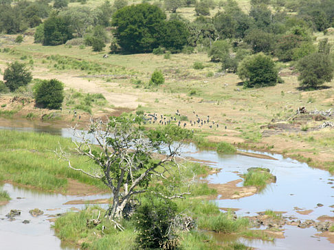 Landschaften Foto 