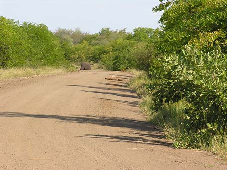 Fotos Straßen