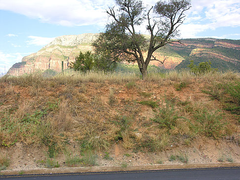 Fotos Straßenränder | Blyde River Canyon