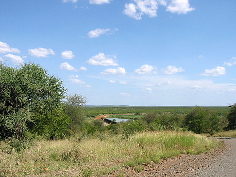 Foto Straßenränder