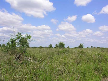Foto Landschaften