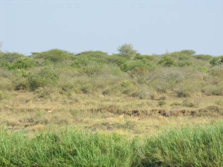 Fotos Landschaften | 