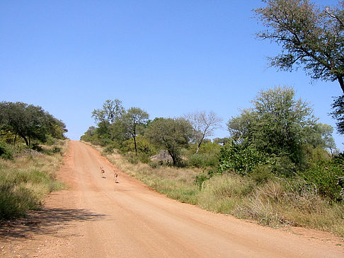 Foto Straßen - 