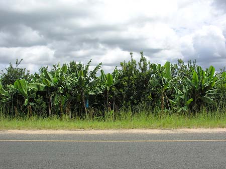 Straßenränder Foto 