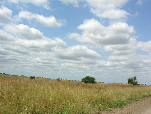 Foto Straßenrand
