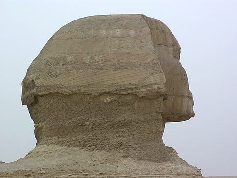 Foto Sphinx