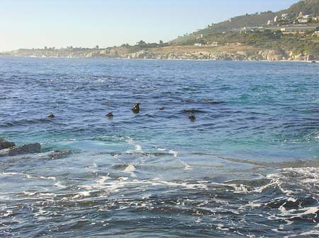 Foto Blick vom Strand auf das Meer - 