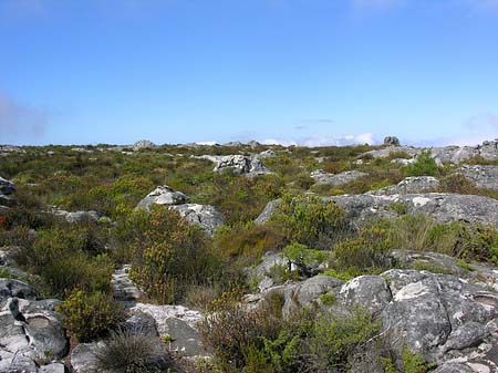 Fotos Landschaften
