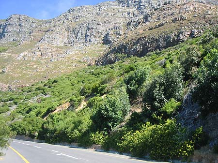 Foto Straßenränder - 