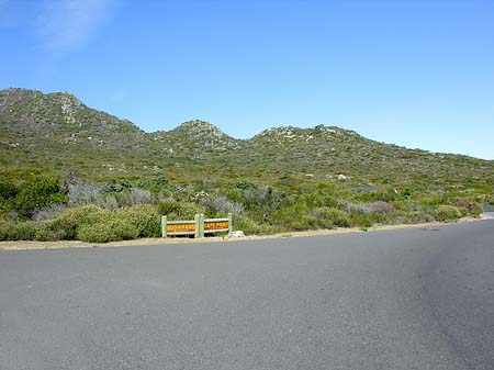 Straßenränder Foto 