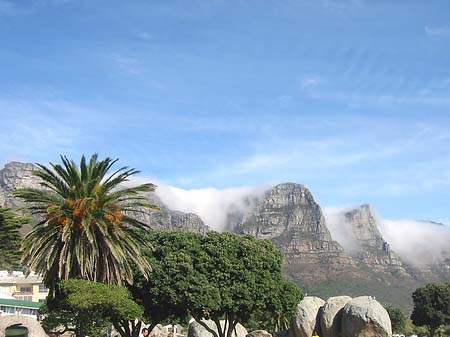 Der Tafelberg Foto 