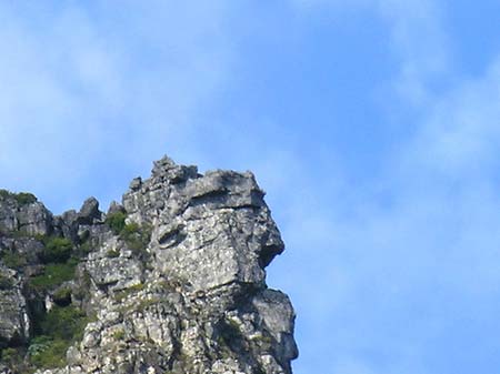 Fotos Tafelberg | Kapstadt