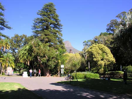 Foto Kapstadt und Camps Bay