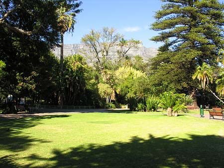 Fotos Kapstadt und Camps Bay | 