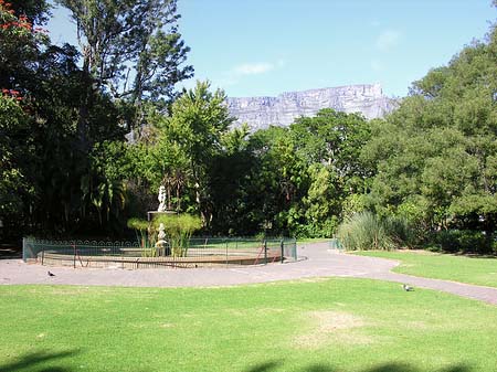 Foto Kapstadt und Camps Bay