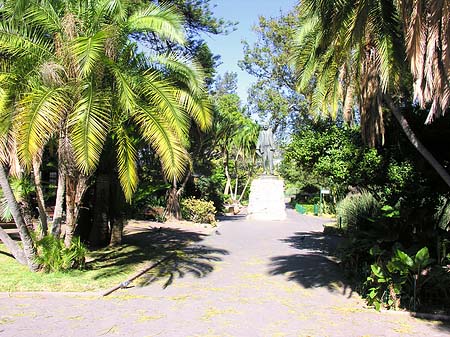 Foto Kapstadt und Camps Bay - 