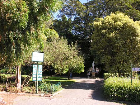 Kapstadt und Camps Bay Foto 