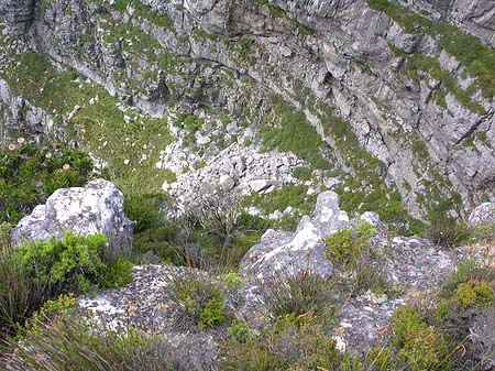 Foto Kapstadt und Umgebung - 